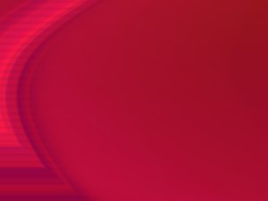 极简关务管理：只保留最重要的